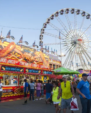 Food Truck and Craft Beverage Festival