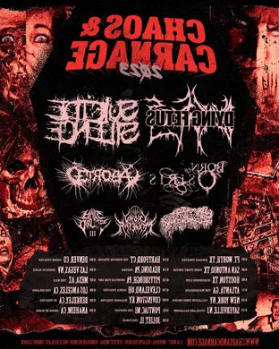 Chaos and Carnage Albuquerque