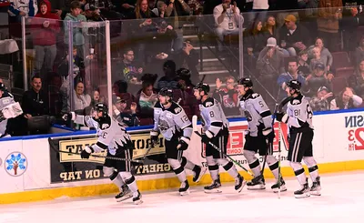 Idaho Steelheads