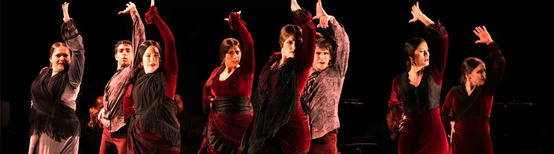 National Institute of Flamenco