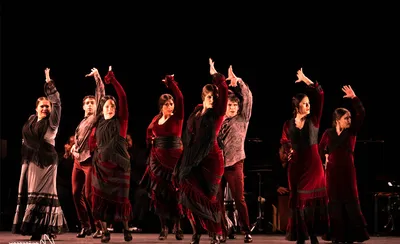 National Institute of Flamenco
