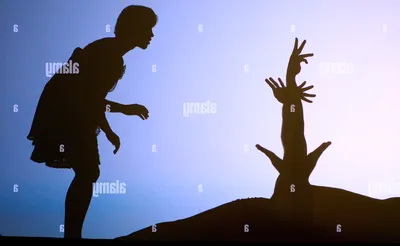 Pilobolus