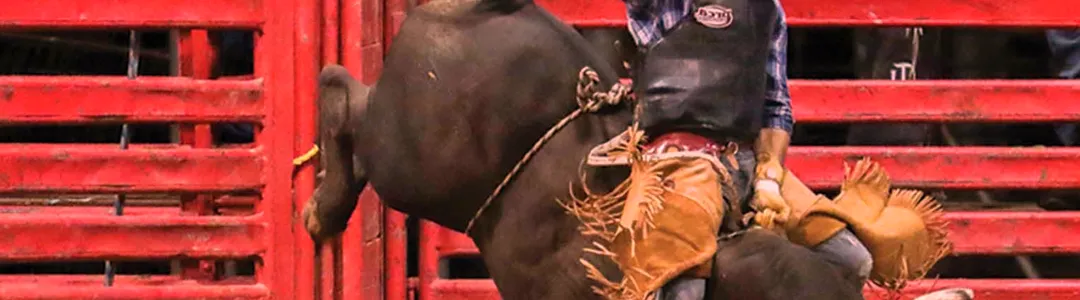 PRCA Xtreme Bulls