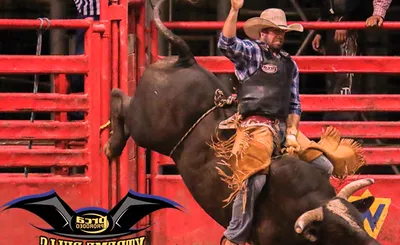 PRCA Xtreme Bulls
