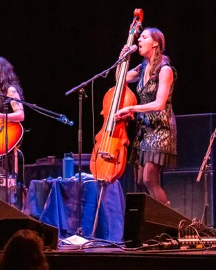 The Wailin' Jennys